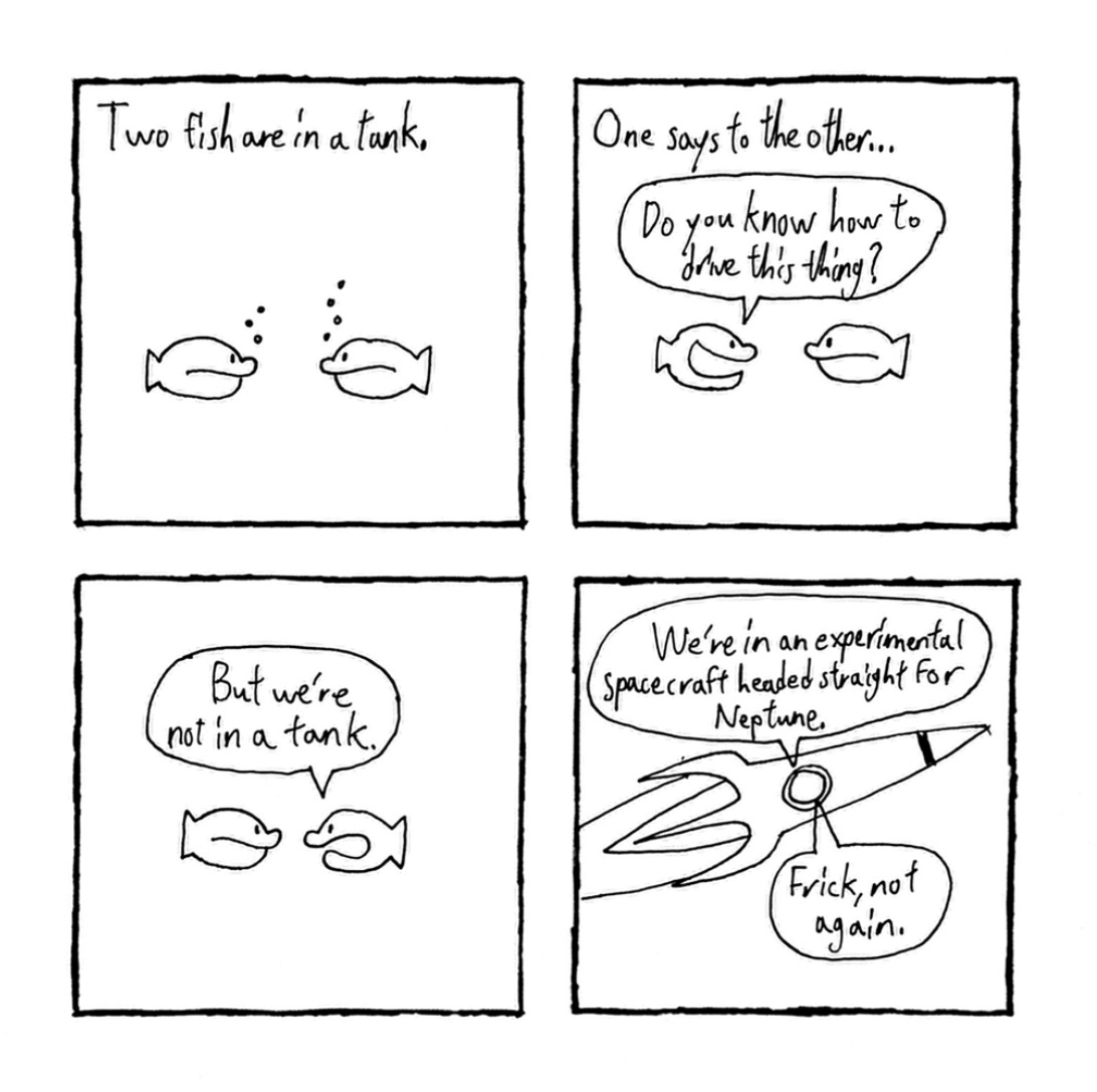 Fish again